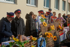 AIV_1291