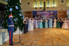 AIV_2036