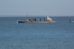 DSCN0944
